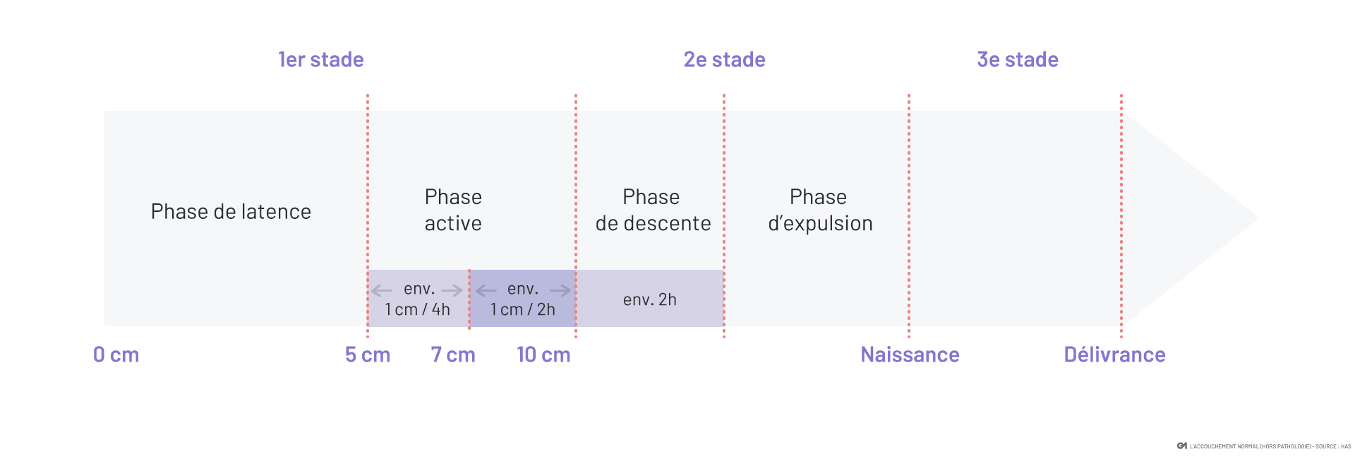 Le plus gros mensonge dans cytomel musculation